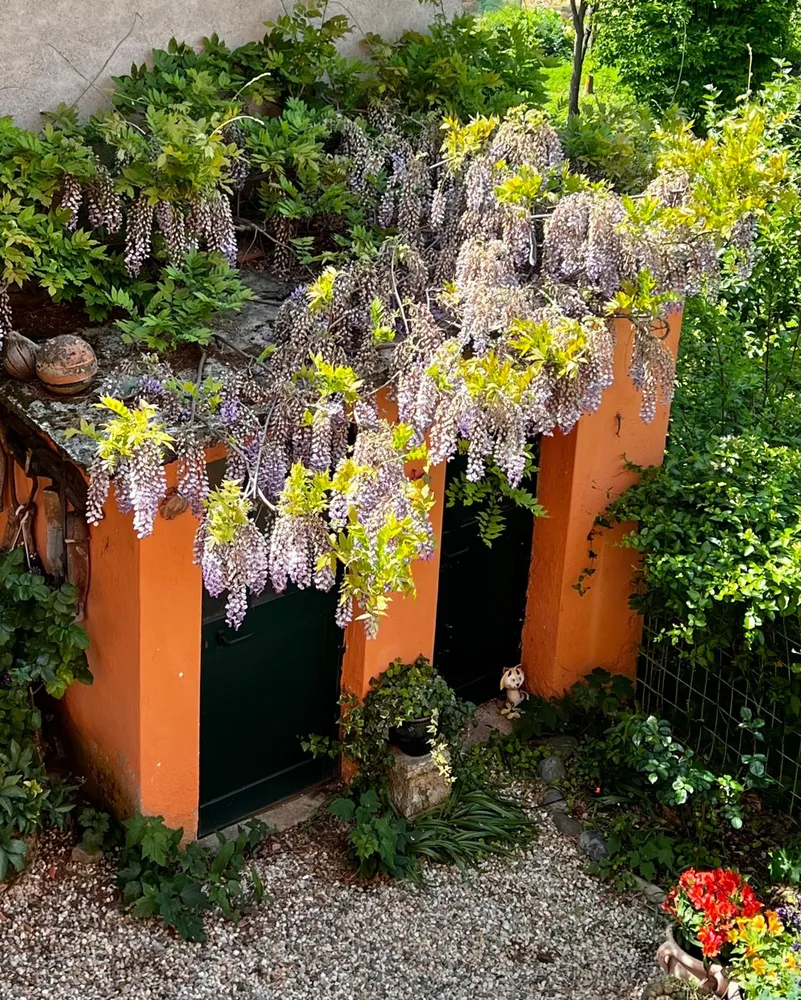 Il giardino del Ma'Già a Fresonara — foto 4