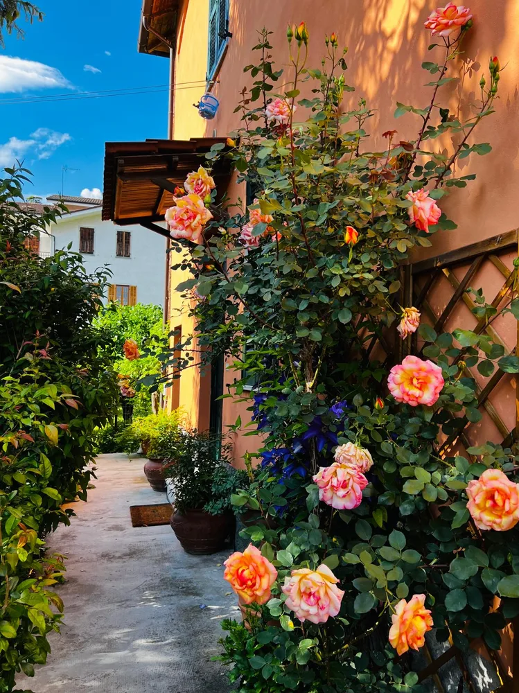 Il giardino del Ma'Già a Fresonara — foto 5