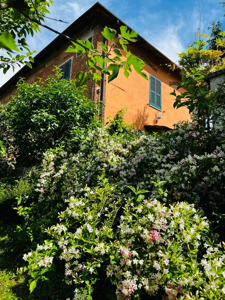 Il giardino del Ma'Già a Fresonara — foto 7