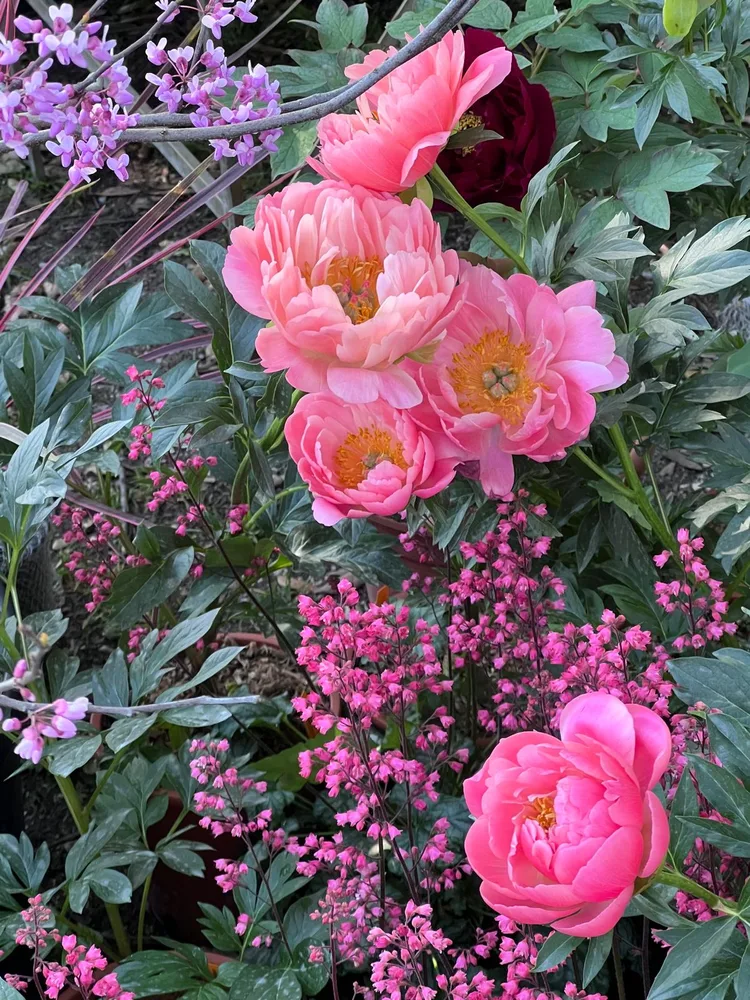 Il giardino del Ma'Già a Fresonara — foto 9