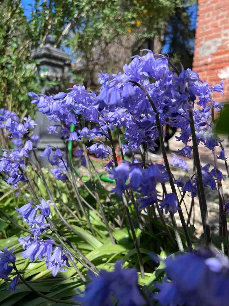 Il giardino del Ma'Già a Fresonara — foto 10
