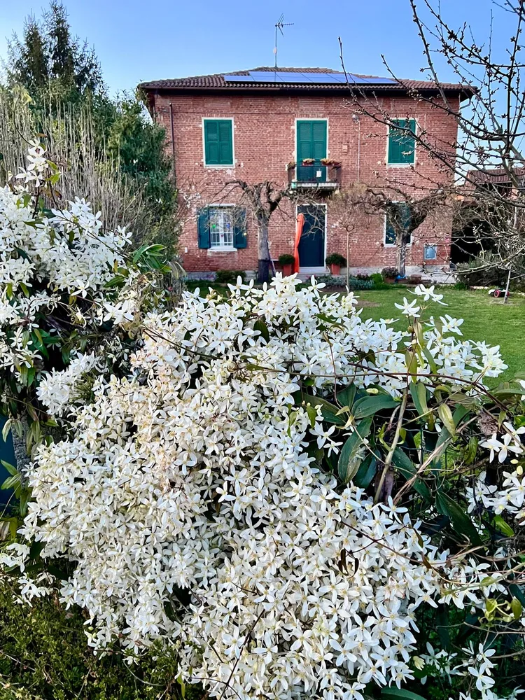 Il giardino del Ma'Già a Fresonara — foto 14
