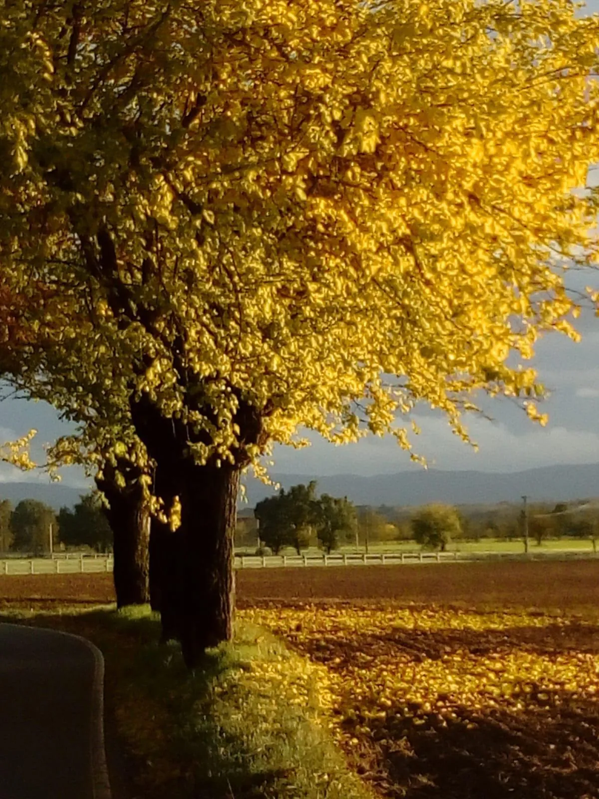 La campagna nei dintorni del Ma'Già a Fresonara